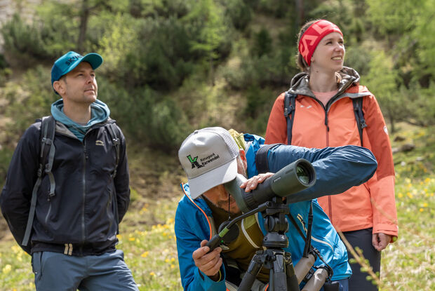 Auf dem Weg zur Moosenalm in Achenkirch erhalten die Teilnehmer der Nature Watch Tour interessante Einblicke in die Pflanzen- und Tierwelt der Region.