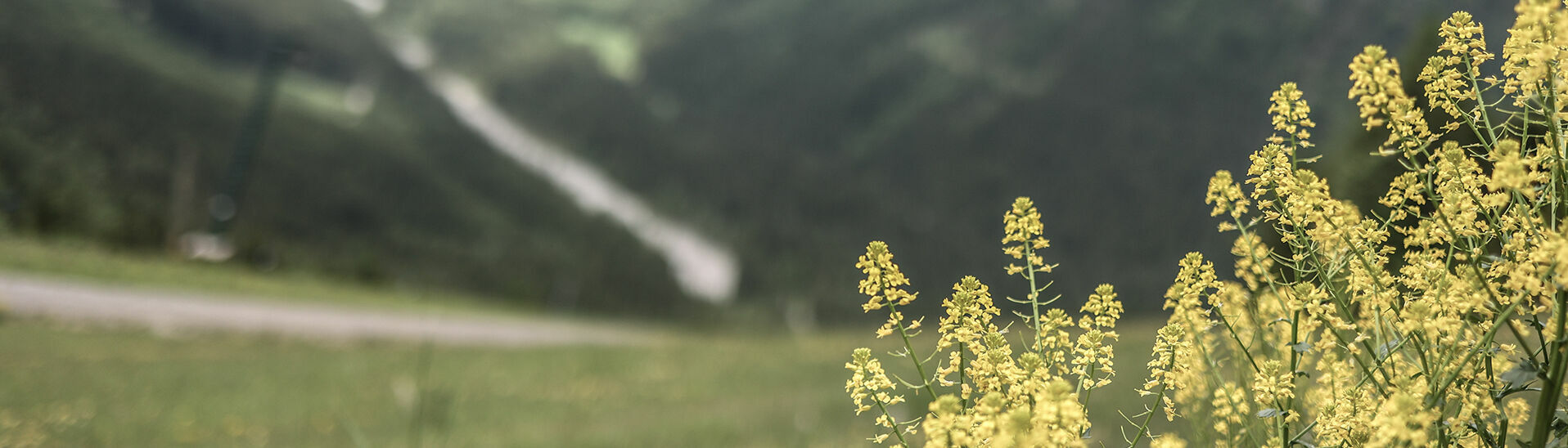 Die Naturlandschaft am Zwölferkopf ist bei jedem Wetter ein toller Anblick.