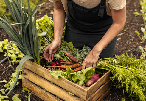 Regionale Lebensmittel aus dem Hofgarten