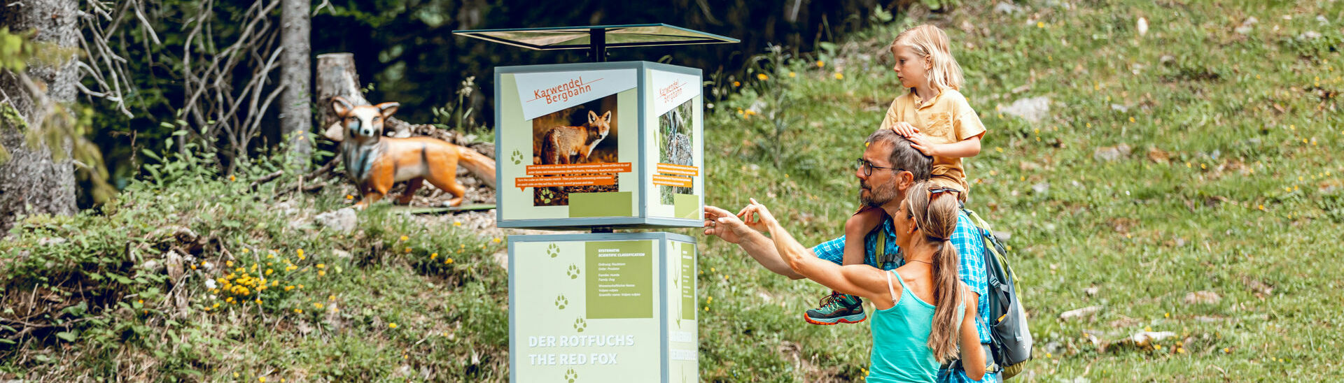 The alpine animals circular walk on the Zwölferkopf mountain is the perfect destination to go on a family hike.