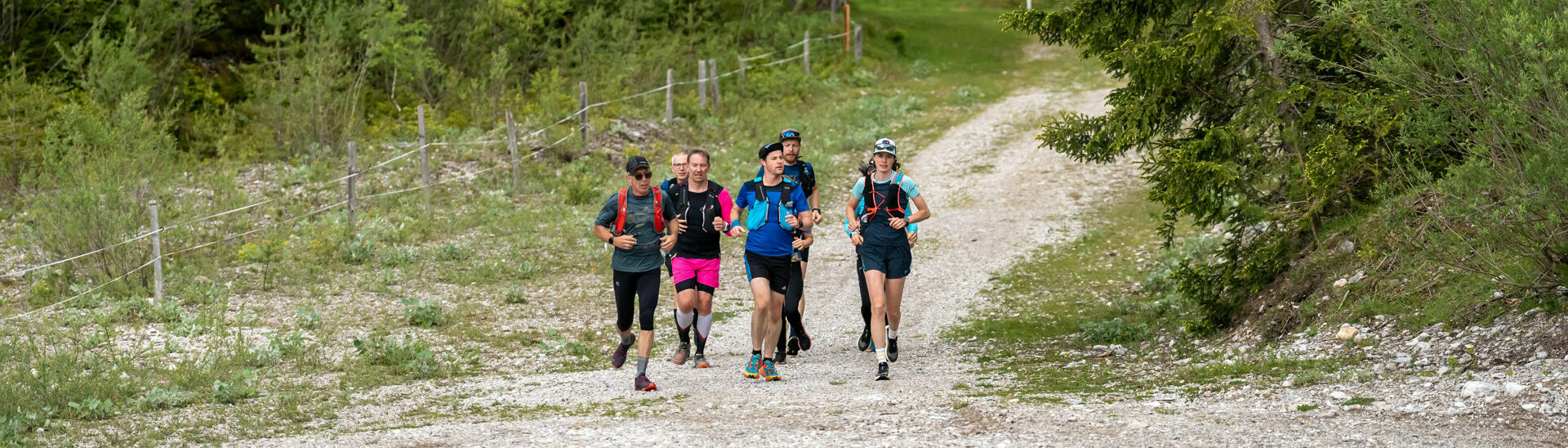 Eine Läufergruppe unterwegs auf Schotterwegen in der Naturlandschaft am Achensee.