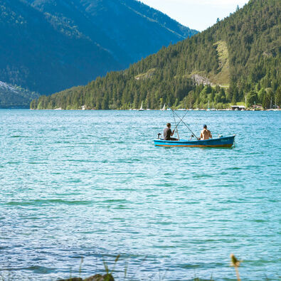 Home to a wide variety of fish species, Lake Achensee is a great destination for fishing enthusiasts.