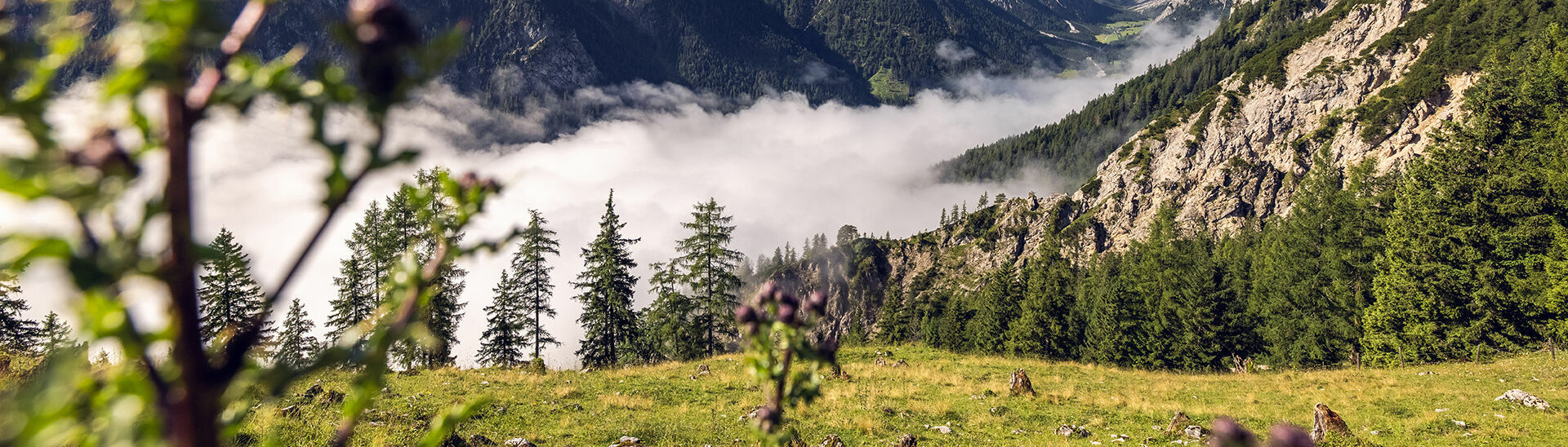 This photo captures the mystical atmosphere of the Nature Park Karwendel, a veil of mist hovering over the valleys.