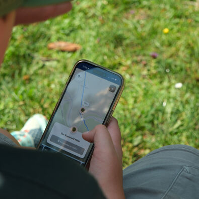 A family playfully explores the wondrous world of fauna and flora of the Karwendel Nature Park on the Achensee Nature Adventure Trail using their mobile phones.