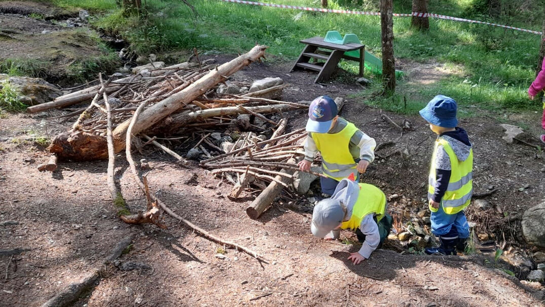 Die Kinderkrippe Butterblumenkinder ist im Wald am Achensee unterwegs.