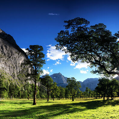 Der Panoramablick über den Ahornboden und seine Berglandschaft.