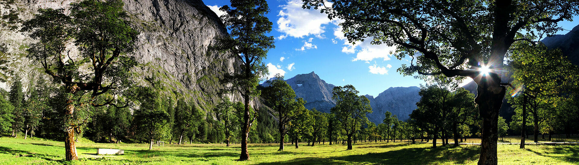 Ahornboden in the Karwendel mountains Beautiful view of the maple trees of the Ahornboden backdropped by the mountains.