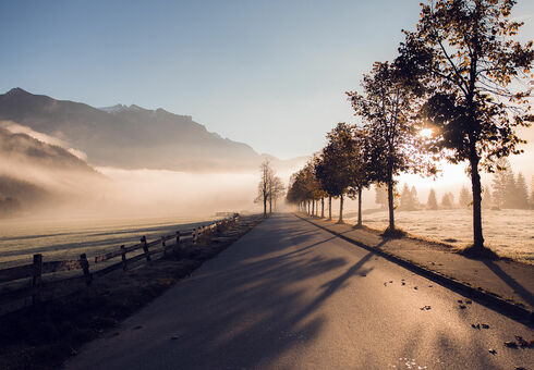 This photo captures the mystical morning mood as a veil of mist hovers over the Nature Park Karwendel.