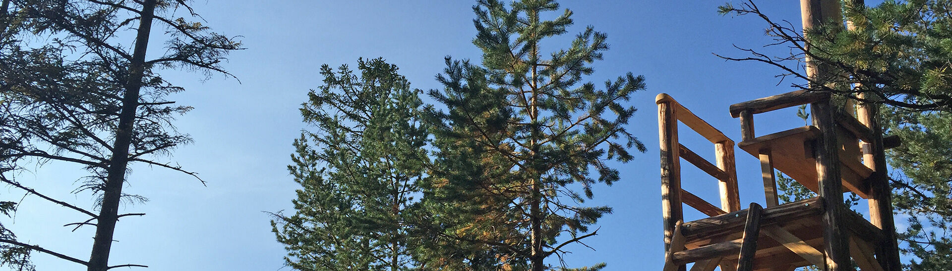 Der hölzerner Thron, welcher sich bei der Kaiser Maximilian Rast befindet, ermöglicht einen wunderschönen Ausblick.