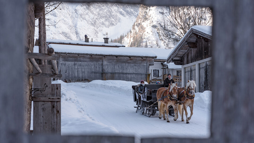 Abseits der Piste eignet sich eine Kutschenfahrt perfekt, um die Gegend rund um den Achensee zu erkunden. 