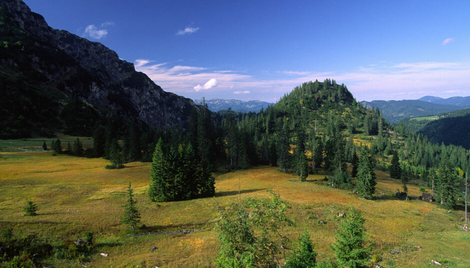 Die Moore im Naturpark Karwendel sind getaucht in wunderschöne Herbstfarben.