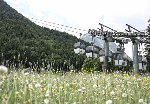Die Karwendel Bergbahn über einem Blumenfeld im Sommer kurz nachdem sie die Bodenstation verlassen hat.