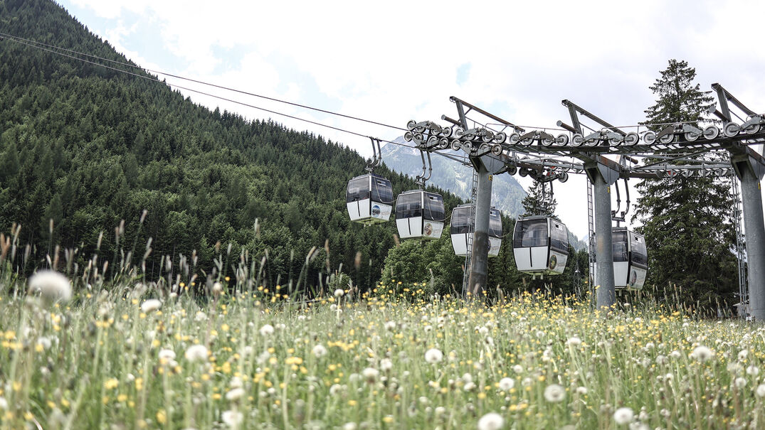 Die Karwendel Bergbahn über einem Blumenfeld im Sommer kurz nachdem sie die Bodenstation verlassen hat.