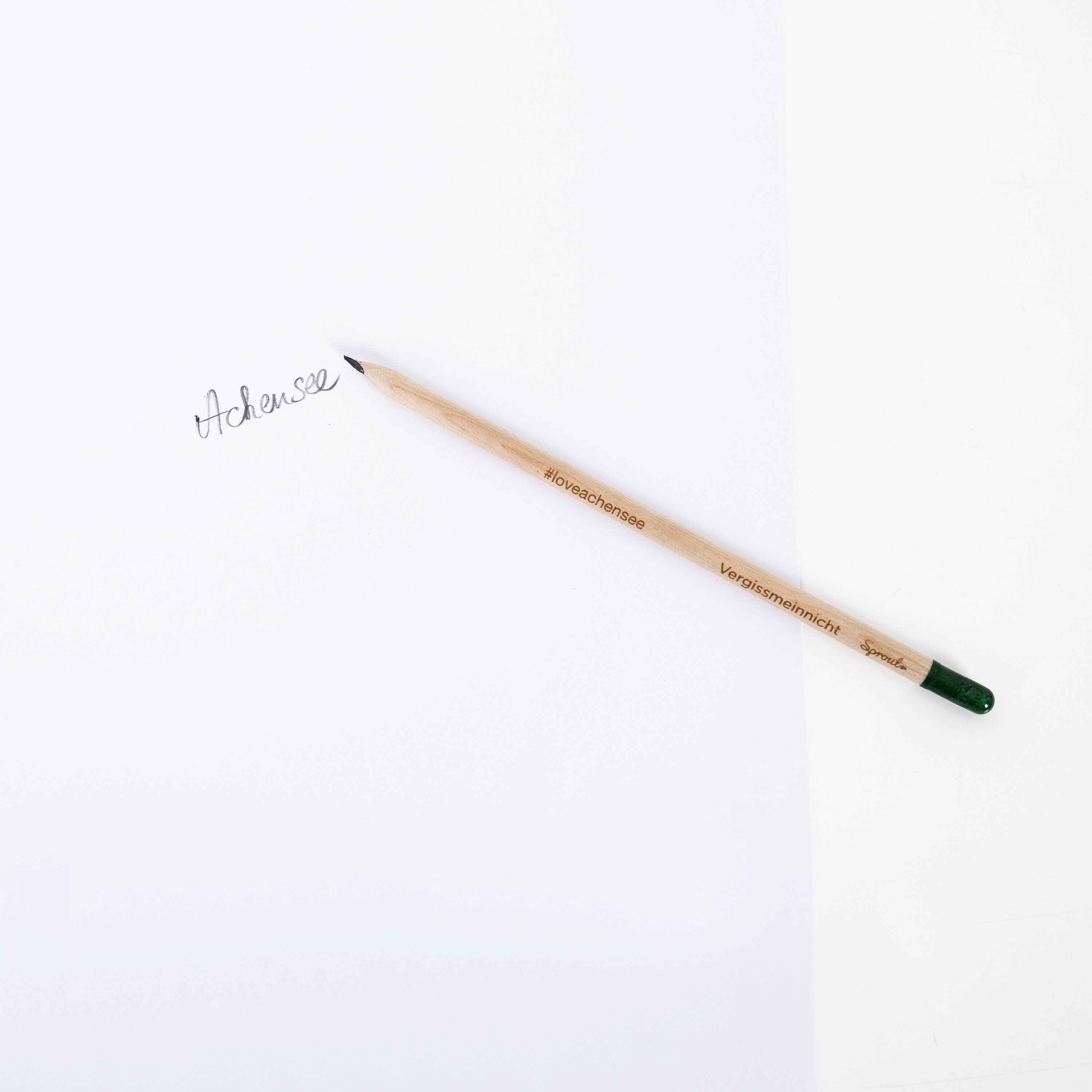 Achensee Bleistift mit Samenkapsel