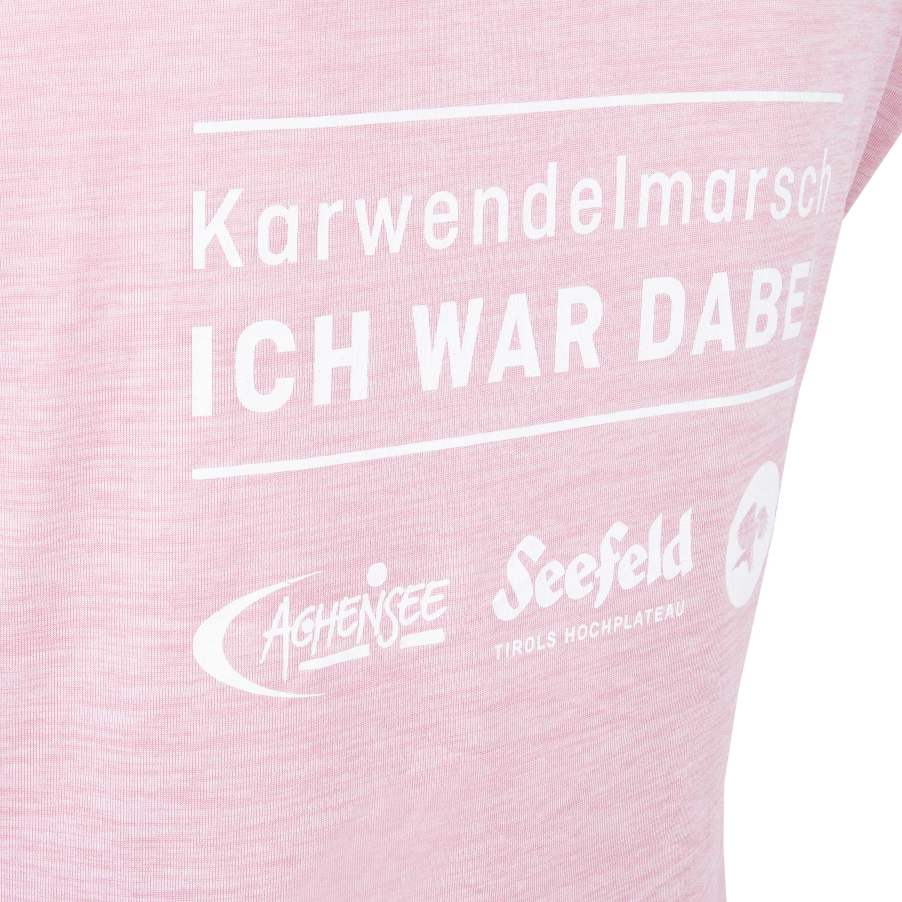 Salewa „Ich war dabei“ Karwendelmarsch Damen T-Shirt in zephyr melange