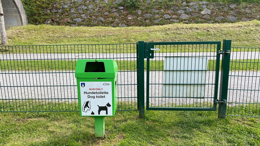 Ausblick am Hundebadestrand
