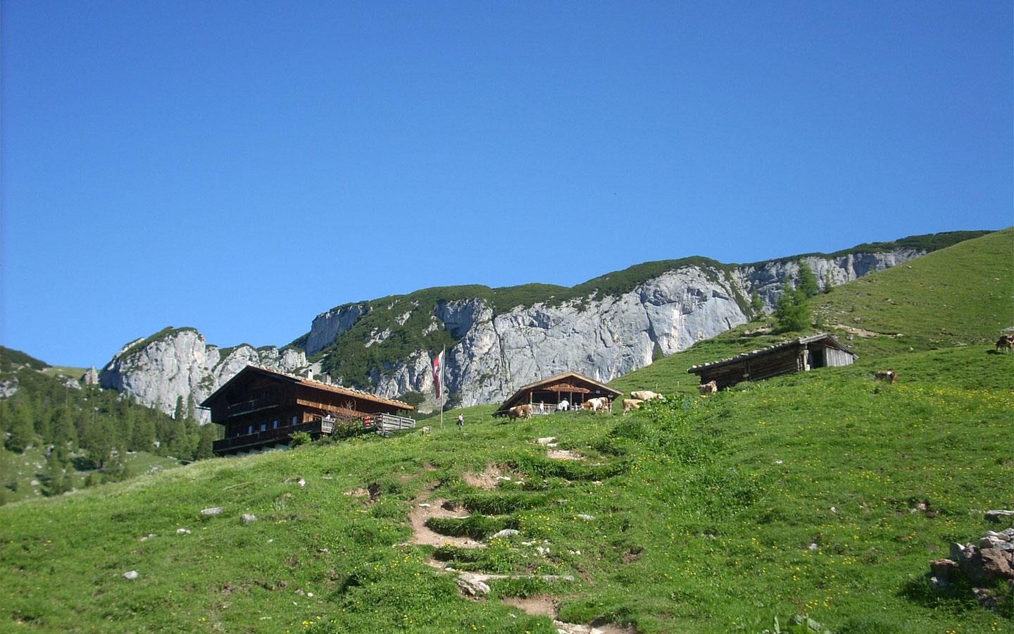 Dalfaz Alm - Sommer