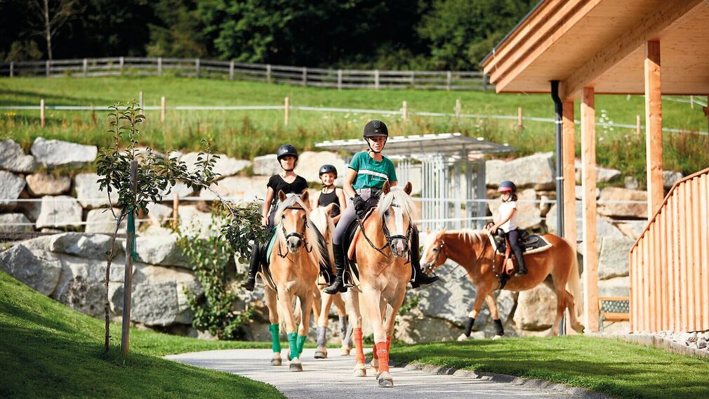 die neu gestaltete helle und moderne Reithalle des Familienresort Buchau