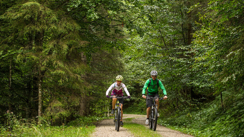 im Hintergrund die Blaubergalm