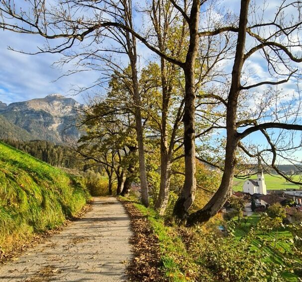 Morgensonne am Wiesinger Bühel
