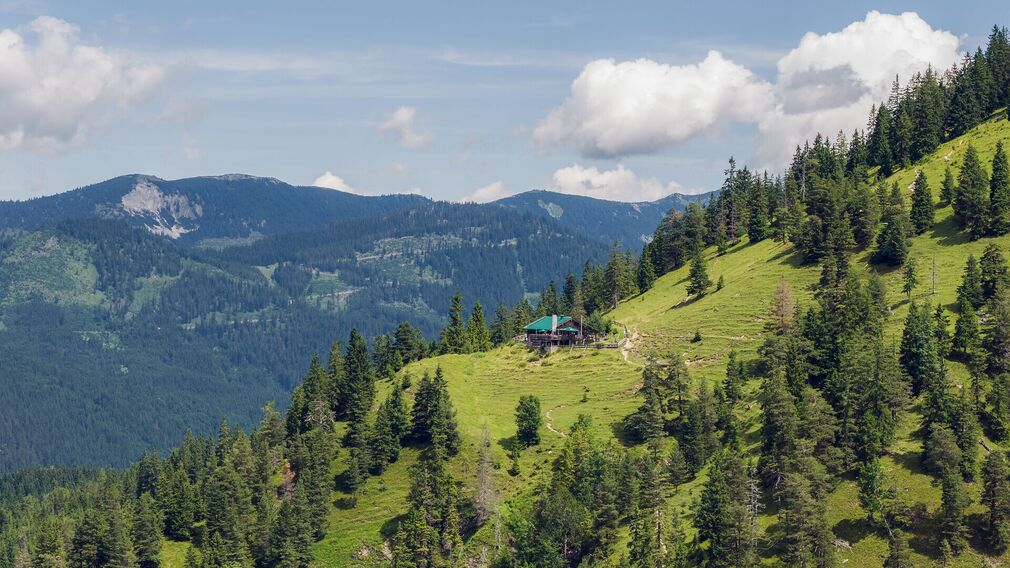 Zöhreralm in Achenkirch, auf 1.334 Meter gelegen