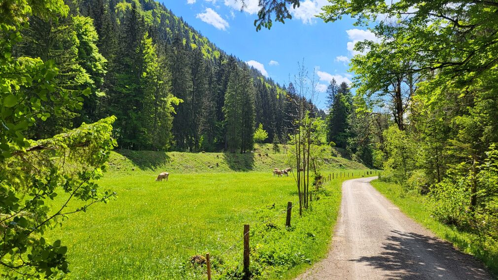 ausgedehnte E-Bike Rundtour von Steinberg am Rofan nach Kreuth (D)