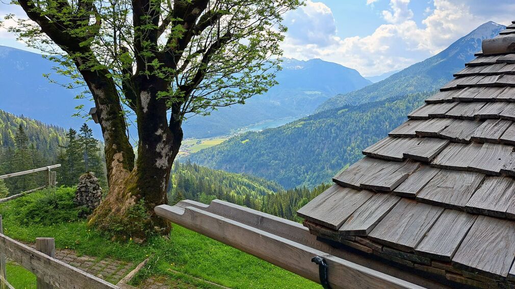 am Gipfel der Hochplatte - traumhafter Ausblick