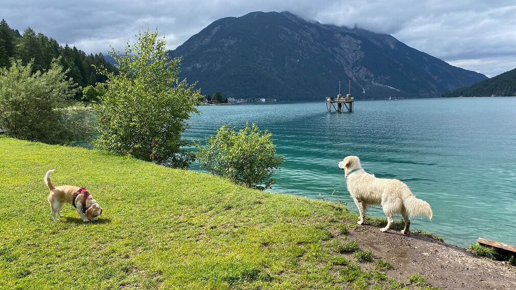 Ausblick am Hundebadestrand