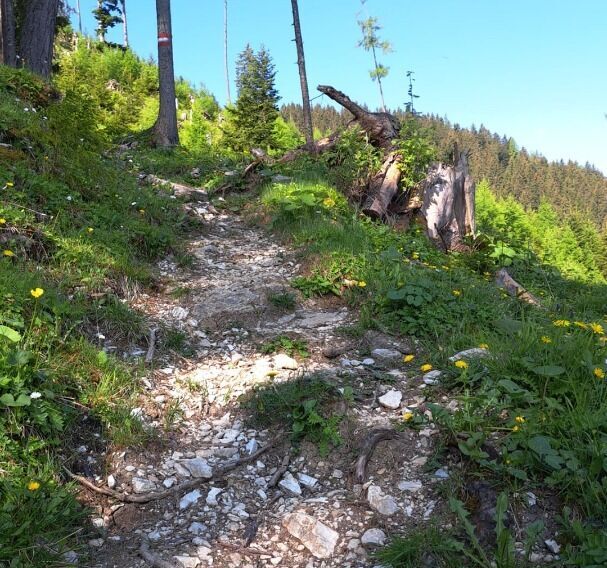 am Gipfel der Hochplatte - traumhafter Ausblick