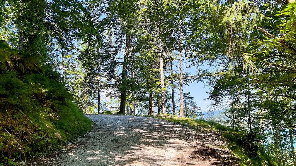 am Beginn der MTB Route 436 Panoramaweg