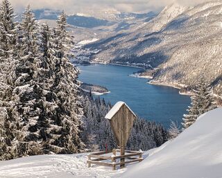 Alpine animals circular walk winter