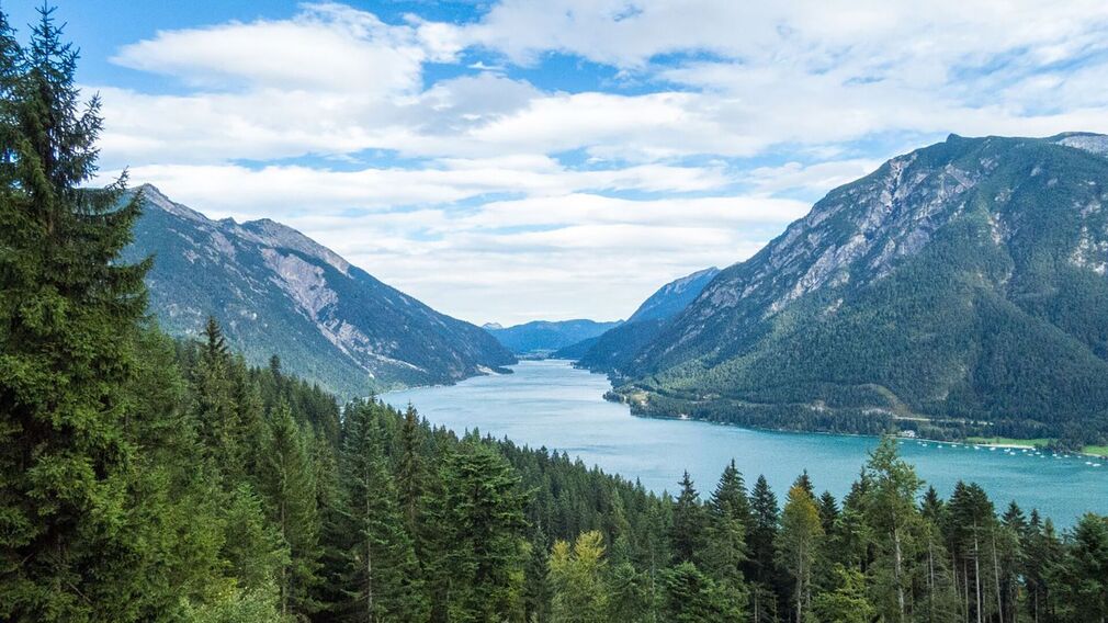 View along the Krautried Weg - up towards the Zwölferkopf