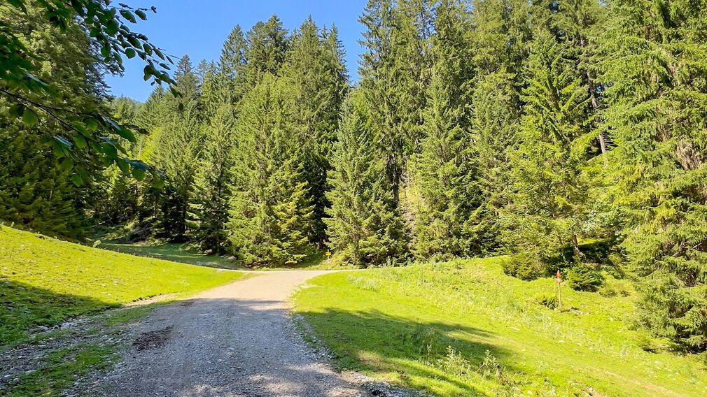 am Beginn der MTB Route 436 Panoramaweg