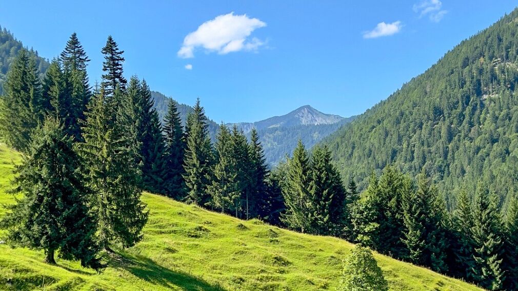 auf dem Weg zur Gufferthütte