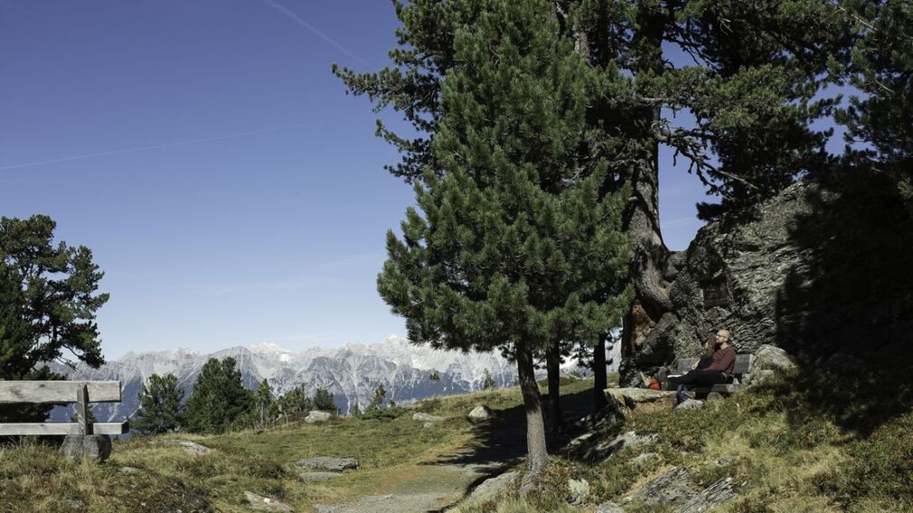 Innsbruck, Patscherkofel, Zirbenweg_Tirol Werbung_Kathrein Verena_Innsbruck.jpg