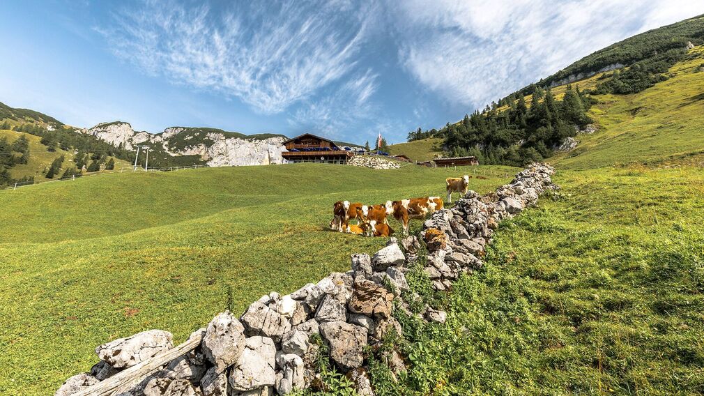 Blick auf die Dalfaz Alm, dahinter das Klobenjoch