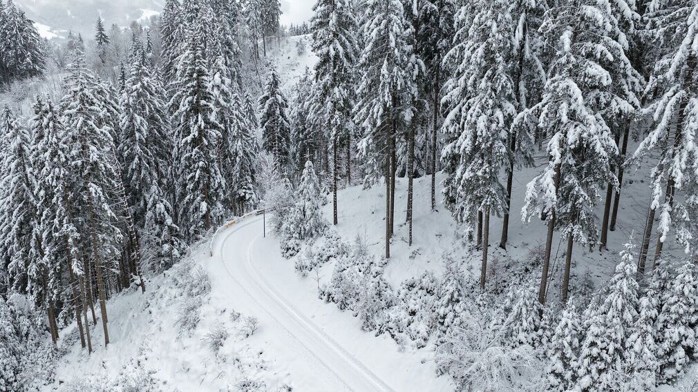 Die Rodelbahn Breitlahn ist täglich von 16:00 bis 01:00 Uhr beleuchtet.