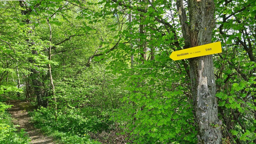Spielplatz Mandlbödele - ein Platz mit Aussicht