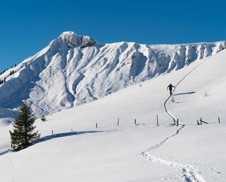 Hochplatte (1.813m) - Variante 2