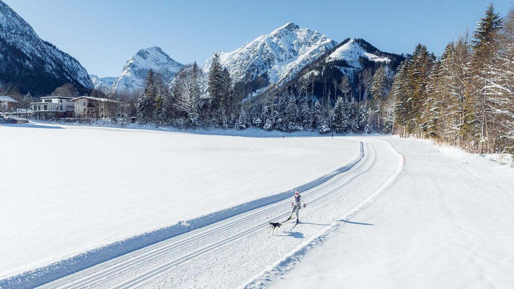 auf der Hundeloipe in Pertisau - klassisch und skating gespurt