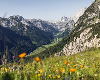 Pertisau - Falzthurnalm - Gramai Alm - Pertisau