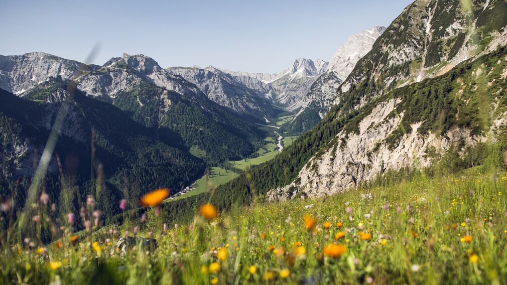 Das Falzthurntal im Naturpark Karwendel zeigt sich im Sommer von seiner schönsten Seite: Hohe, schroffe Berge ragen empor, umgeben von bunten Wiesen und malerischen Waldlandschaften.