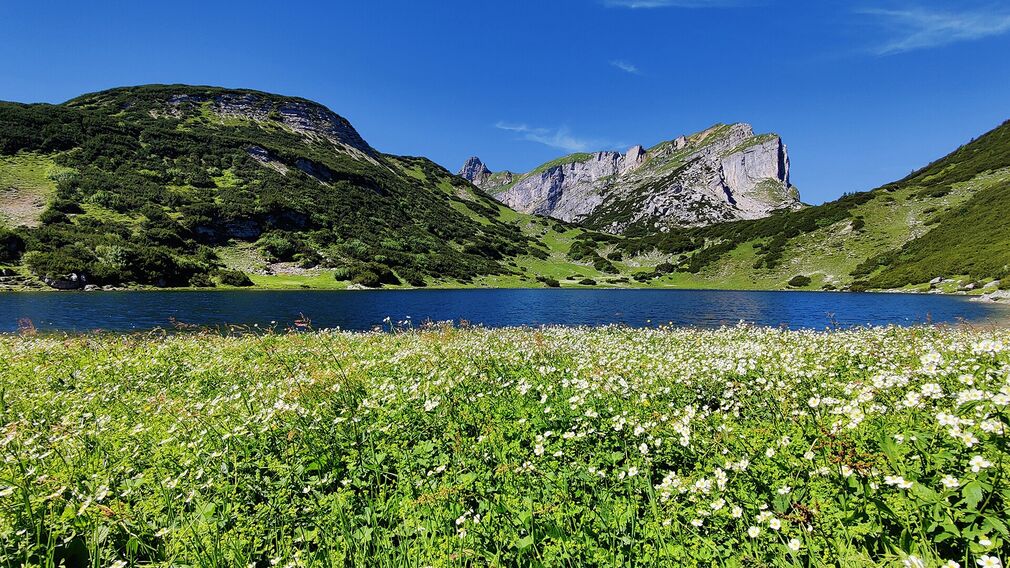 Eagle Walk Stage: 07