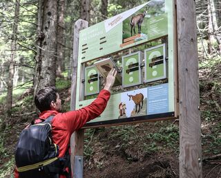 Alpine animals circular walk