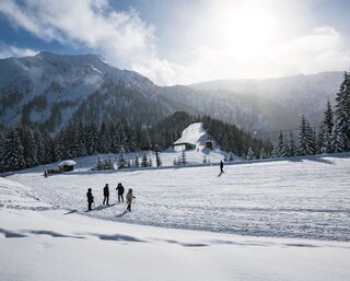 Alpine animals circular walk winter - short