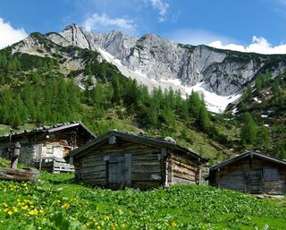 Achenkirch - Koglalm - Seekaralm - Pasillalm - Achenkirch