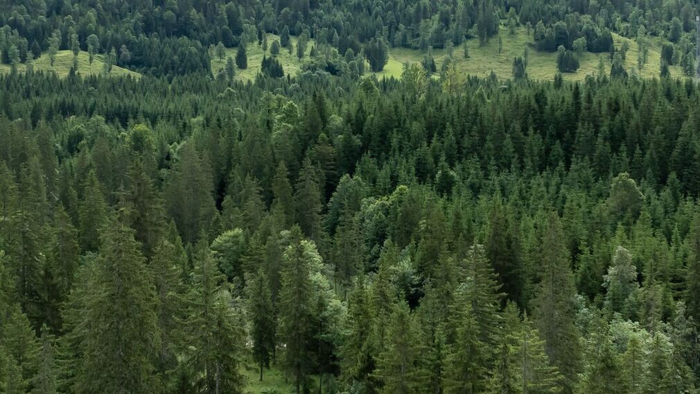 Zwei Mountainbikerinnen entspannen nach ihrer Tour zur Gufferthütte in Liegestühlen und genießen einen frisch servierten Kaiserschmarrn.