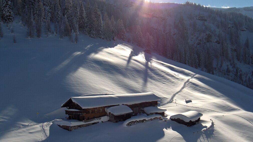 Bärenbadalm am Zwölferkopf