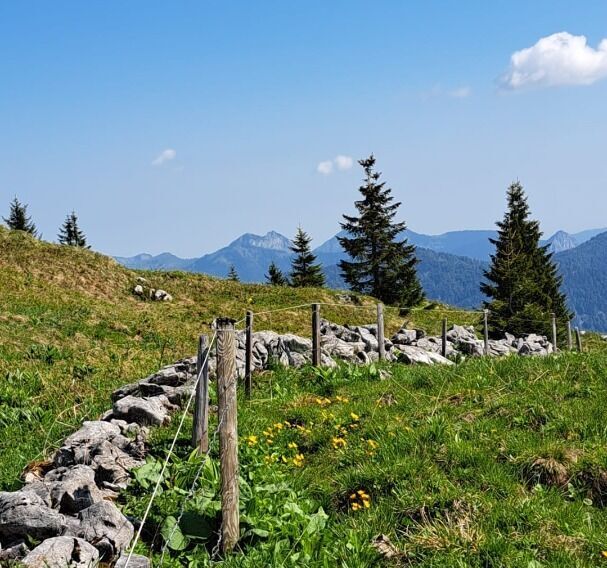 am Gipfel der Hochplatte - traumhafter Ausblick