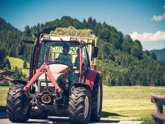 Prantlhof Ferienwohnungen